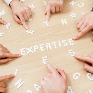 Services pour les entreprises : Expertise